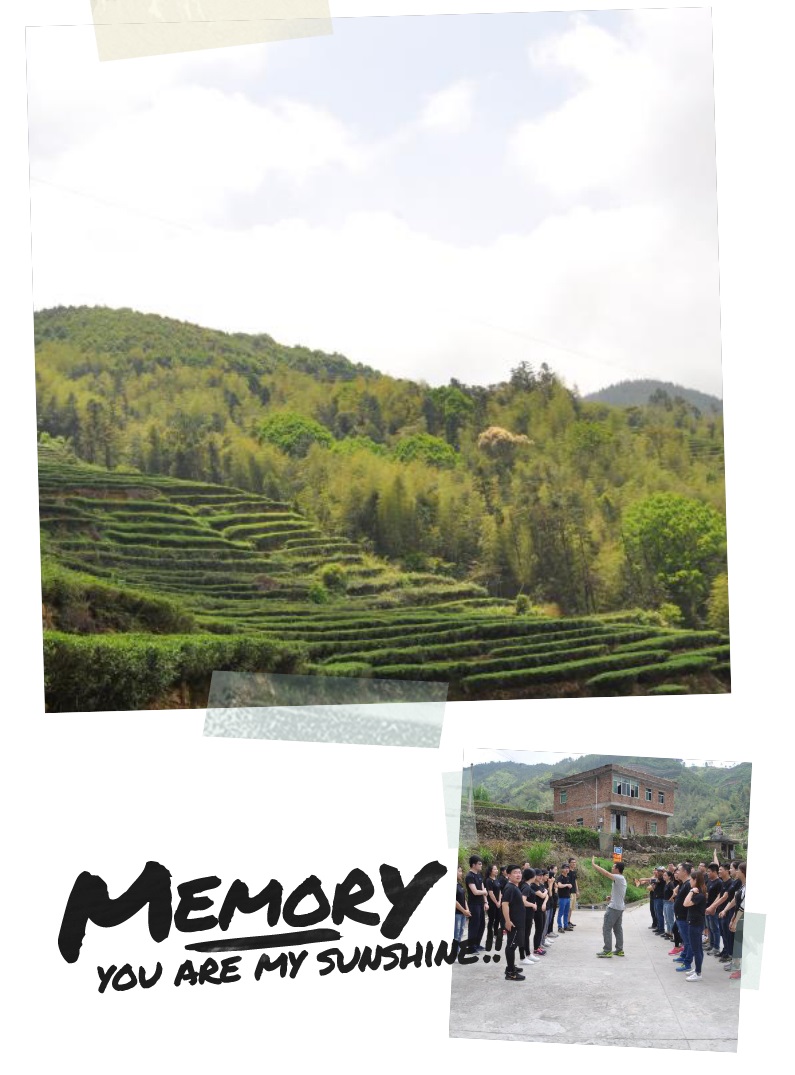 1494376366516846.jpg 2.jpg